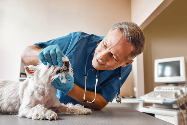 Best 24-Hour Emergency Dentist in Cushing, OK